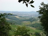 VISTA DA PANCOLE 4.JPG